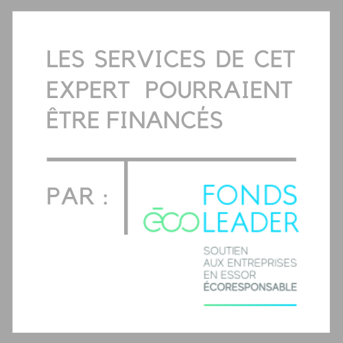 logo ecoleader